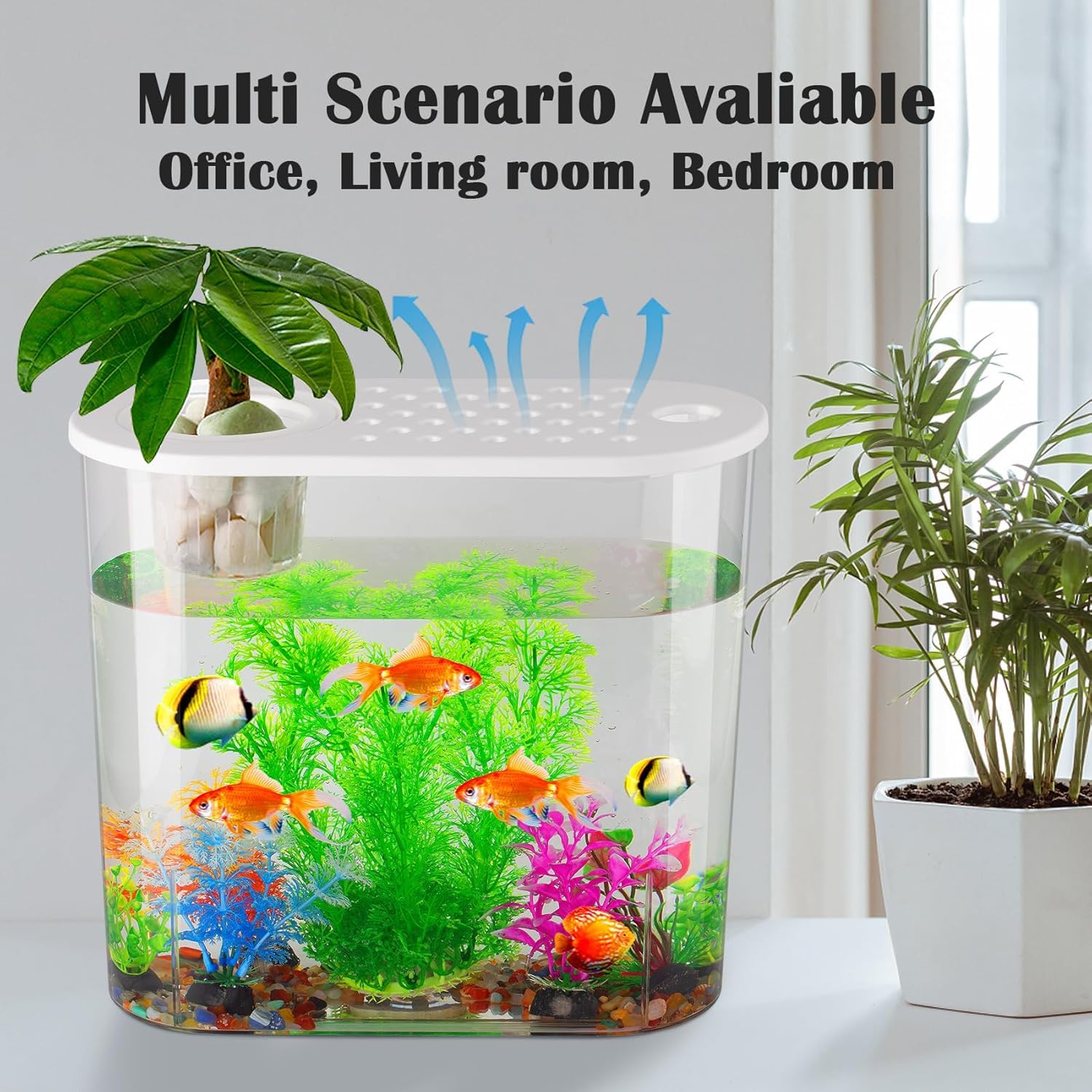 Buraq Hydroponic Fashion Aquarium Mini Fish Tank with Planting Basket for Guppies, Shrimp, Polycarbonate Material, Suitable for Home, Living Room and Office - BURAQ PETS