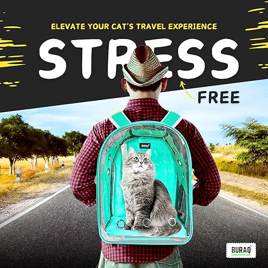 Buraq Pet Transparent Cat & Small Dog Puppy Kitty Shihtzu Carriers for Breathable Airline Travel Approved Air Ventilation Backpack Size 17 × 13 × 11 inch (Sea Green, Transparent Pet Bag) - BURAQ PETS