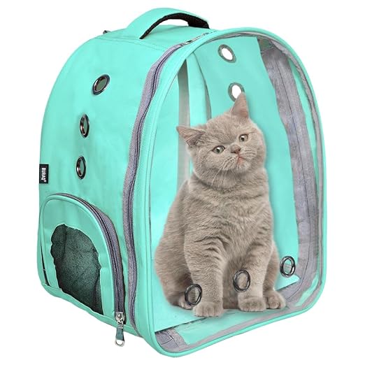 Buraq Pet Transparent Cat & Small Dog Puppy Kitty Shihtzu Carriers for Breathable Airline Travel Approved Air Ventilation Backpack Size 17 × 13 × 11 inch (Sea Green, Transparent Pet Bag) - BURAQ PETS