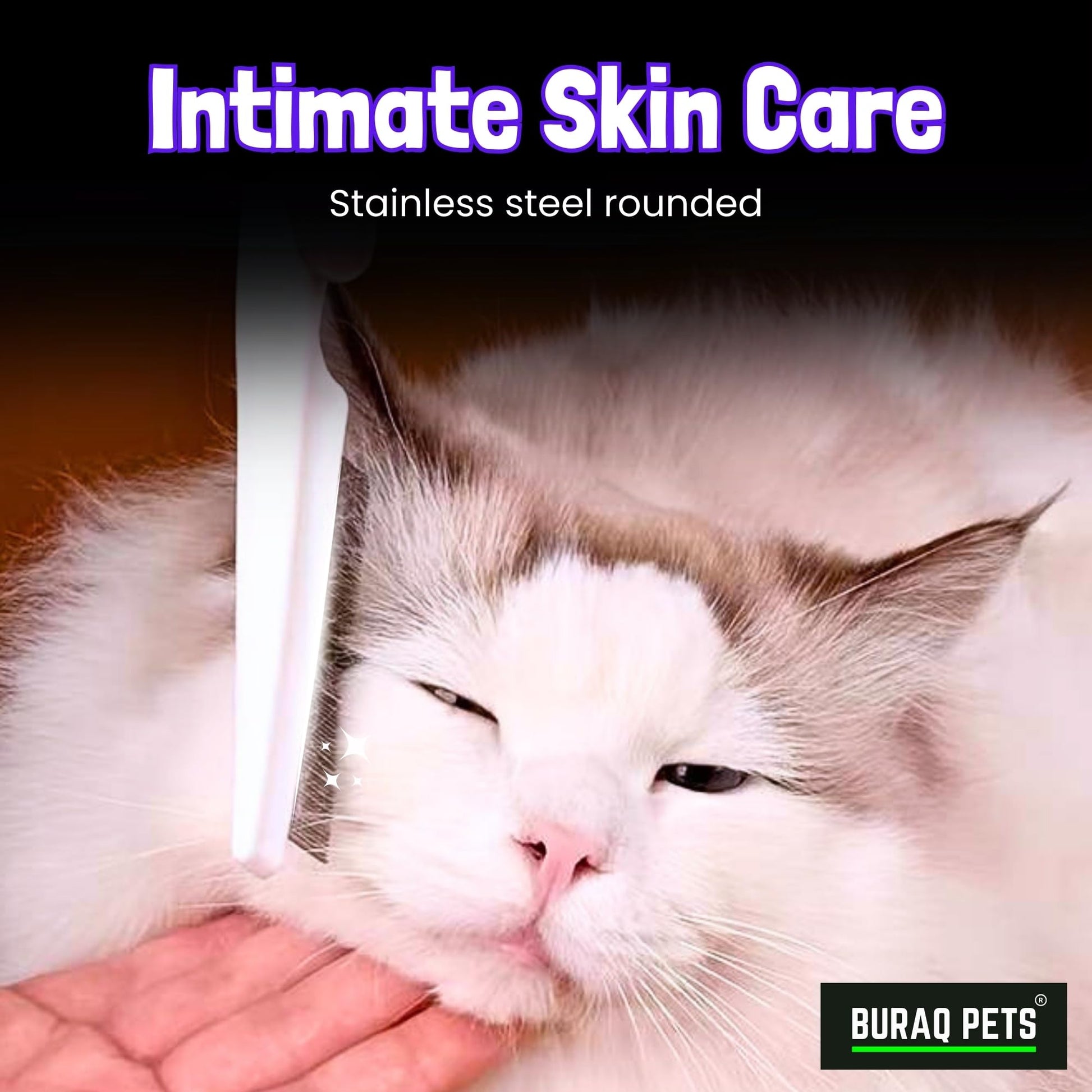 Buraq Pets Flea Comb for Cat & Dog For Removing Fleas, Tick & Lice, Dog Comb, Cat Comb, Grooming Tool for Pets (Large) - BURAQ PETS