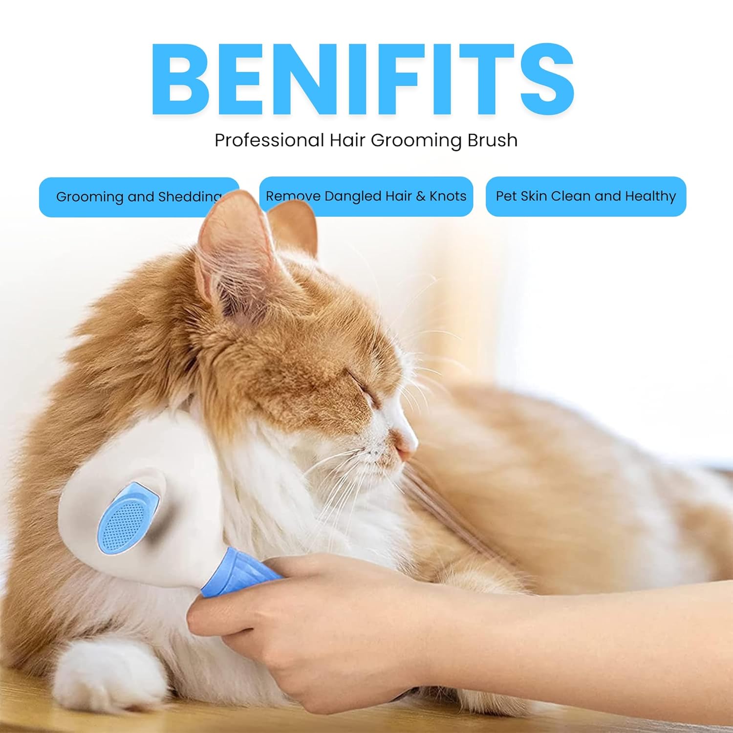 Buraq Self - Cleaning Slicker Brush – Oval Grooming Tool for Dogs & Cats (Multi - Color) - BURAQ PETS