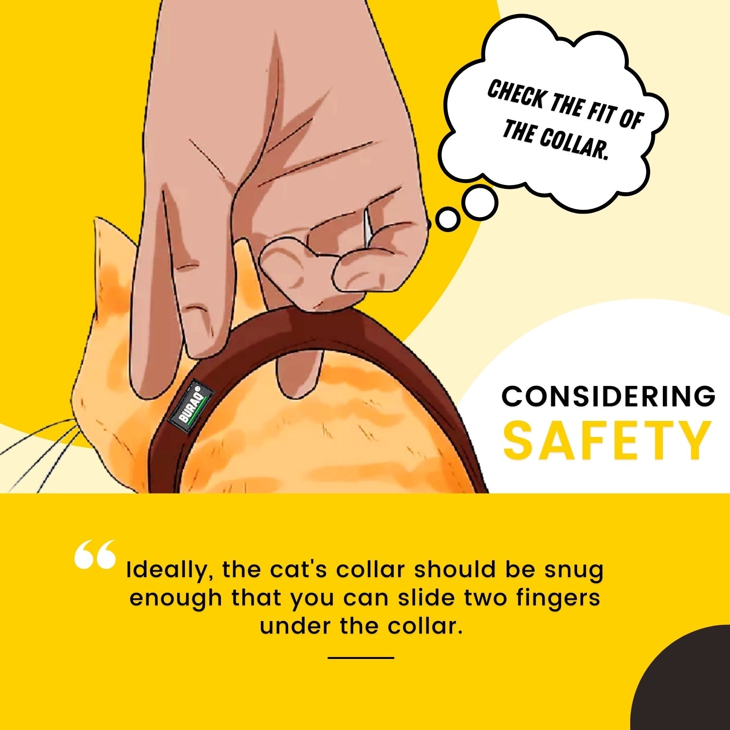 Cat Collars – Adjustable & Durable Plain Belts - BURAQ PETS