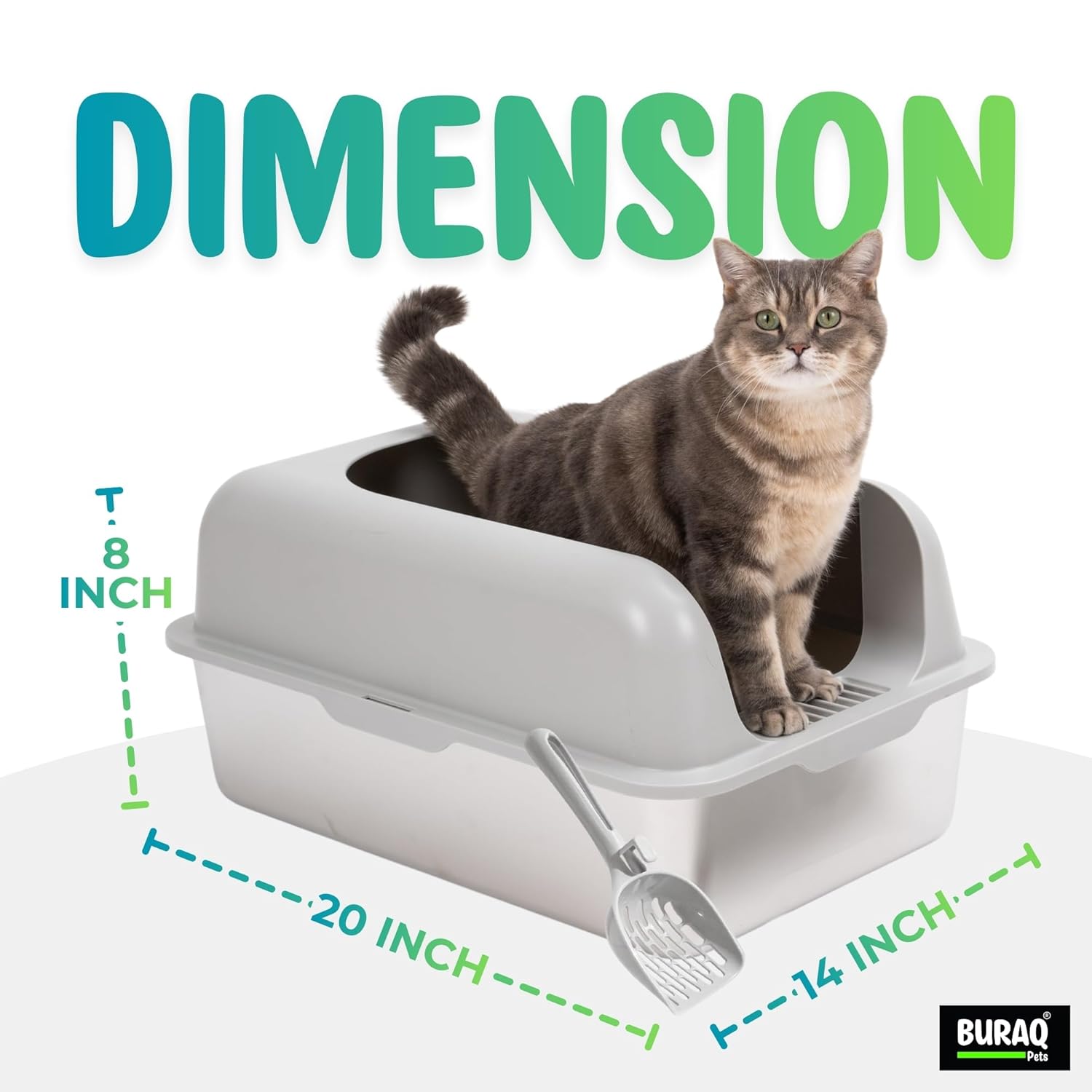 Cat Litter Box with Scoop | Open Top Stainless Steel & Anti-Odor Tray for Adult Cats & Kittens - premium pet product by Buraq Pets