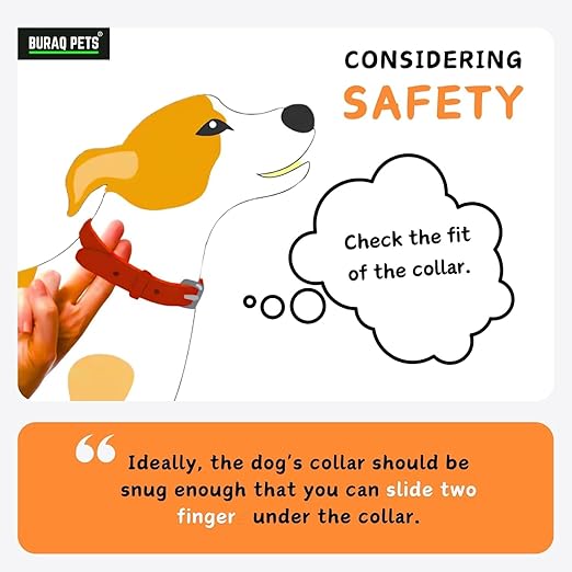 Classic Dog Collar - Adjustable Collar with Strong Buckle, Lightweight and Durable - BURAQ PETS
