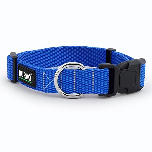 Classic Dog Collar - Adjustable Collar with Strong Buckle, Lightweight and Durable - BURAQ PETS
