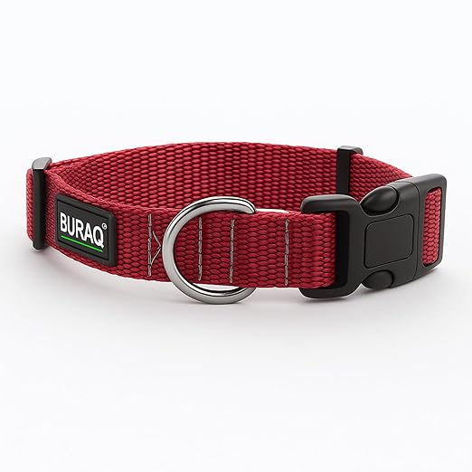 Classic Dog Collar - Adjustable Collar with Strong Buckle, Lightweight and Durable - BURAQ PETS