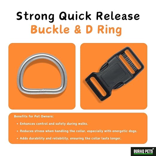 Classic Dog Collar - Adjustable Collar with Strong Buckle, Lightweight and Durable - BURAQ PETS