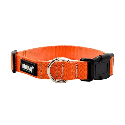 Classic Dog Collar - Adjustable Collar with Strong Buckle, Lightweight and Durable - BURAQ PETS