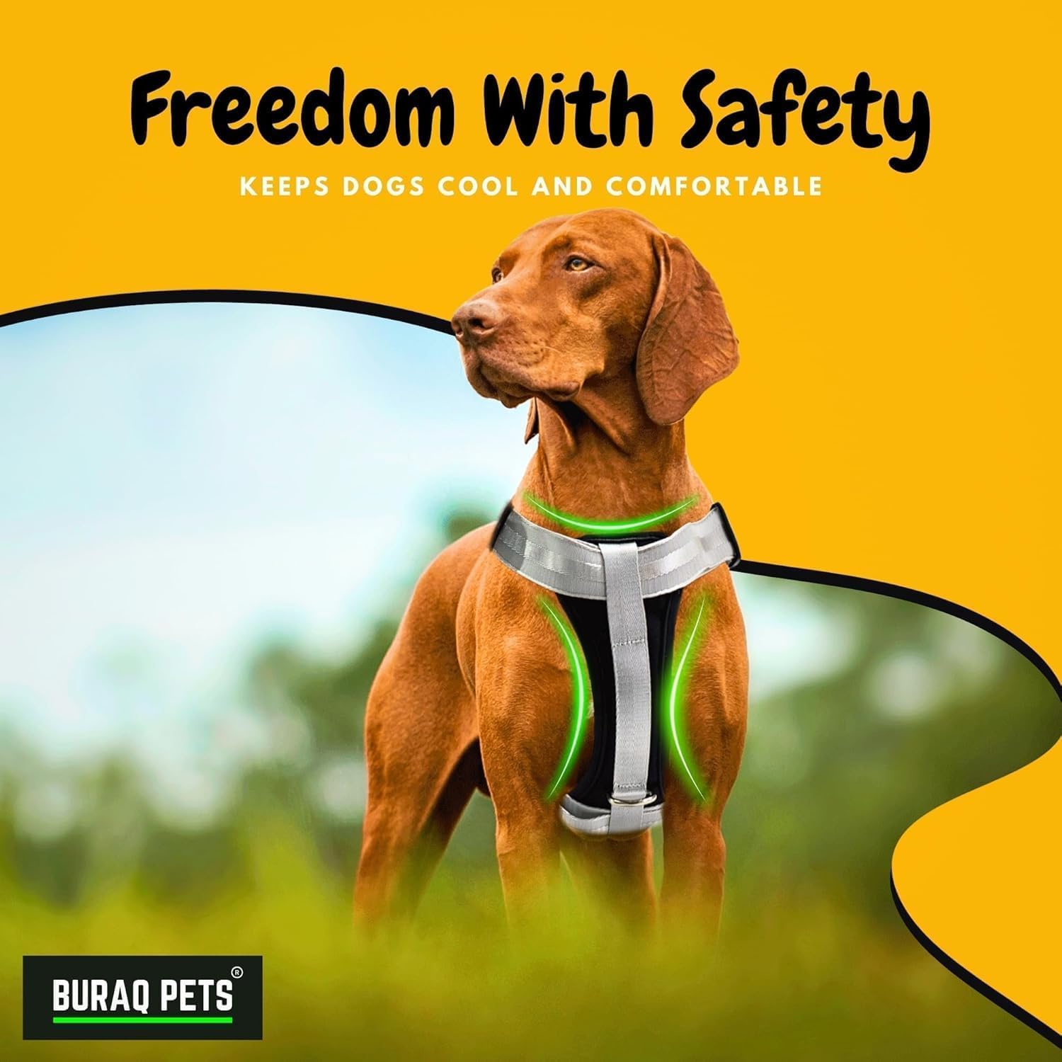 Customised Soft Padded No - Pull Dog Harness for Dogs - BURAQ PETS