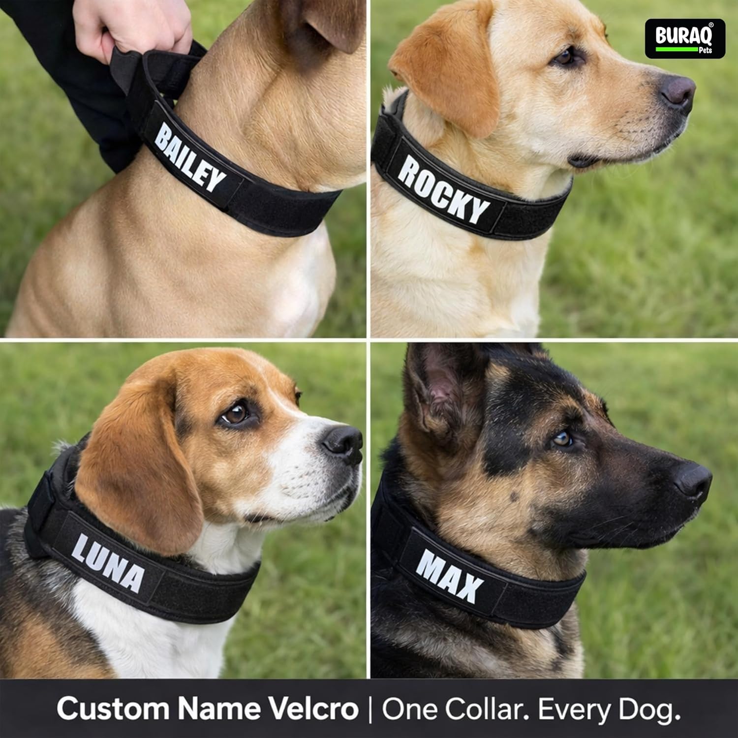Customize Tactical Dog Collar with Name Patch With Heavy - Duty Nylon - BURAQ PETS