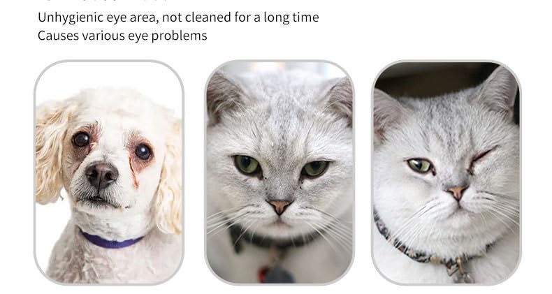 Dog & Cat Eye Wipes Gentle Tear Stain Cleanser ( 130PCS ) - BURAQ PETS