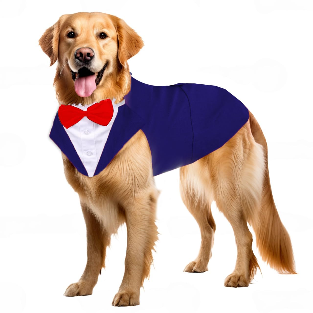 Dog Tuxedo Suit & Bandana Set – Stylish Pet Outfit for Weddings & Parties - BURAQ PETS