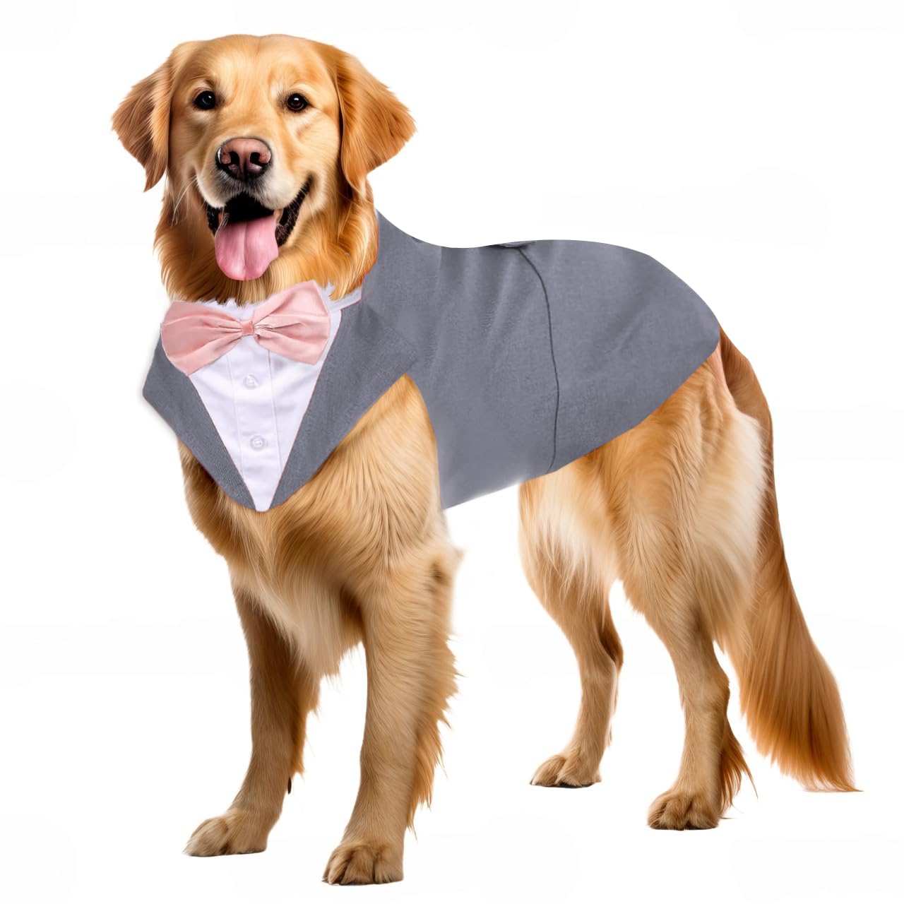 Dog Tuxedo Suit & Bandana Set – Stylish Pet Outfit for Weddings & Parties - BURAQ PETS