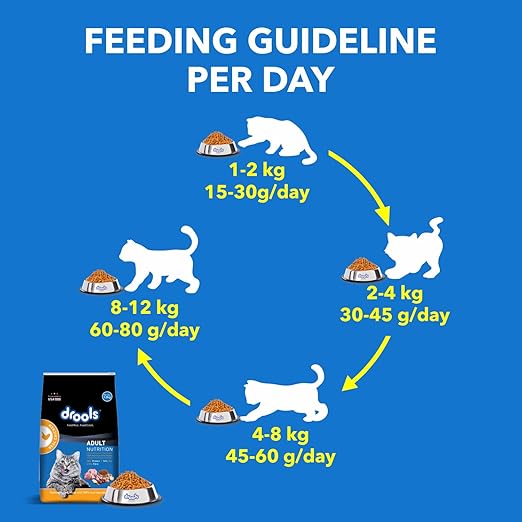Drools Dry Cat Food( Flavour - Chicken ) For Kitten & Adult - BURAQ PETS