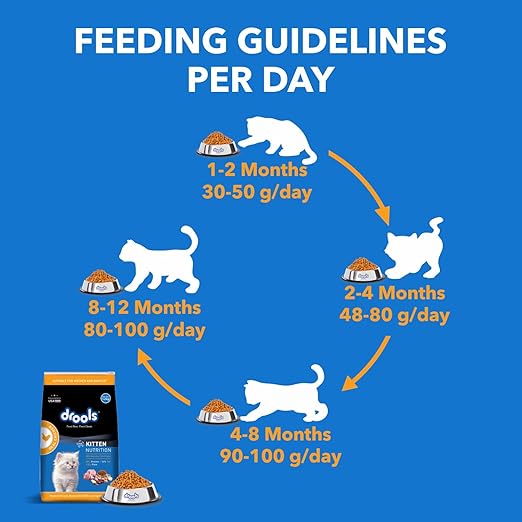 Drools Dry Cat Food( Flavour - Chicken ) For Kitten & Adult - BURAQ PETS