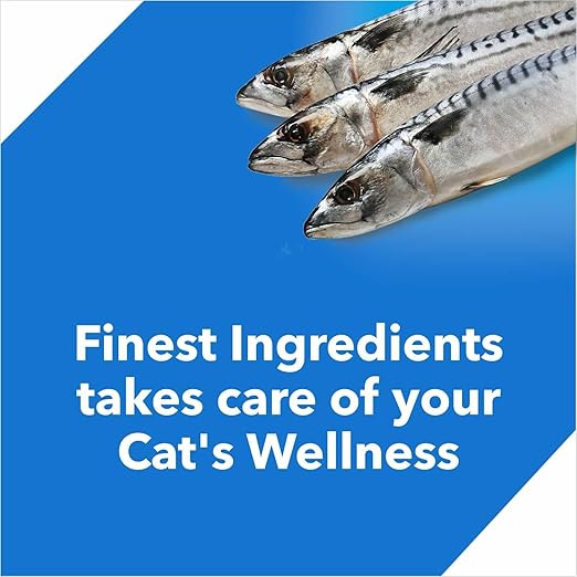 Drools Dry Cat Food( Flavour - Ocean Fish ) For Kitten & Adult - BURAQ PETS