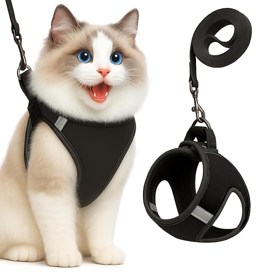 Escape - Proof Cat Harness & Leash – Breathable Mesh, No Pull Harness - BURAQ PETS