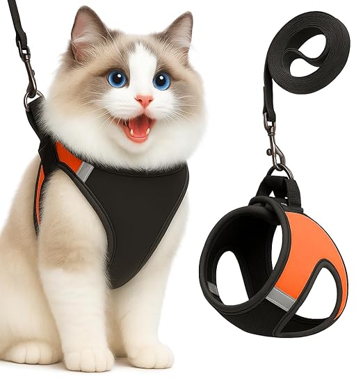 Escape - Proof Cat Harness & Leash – Breathable Mesh, No Pull Harness - BURAQ PETS