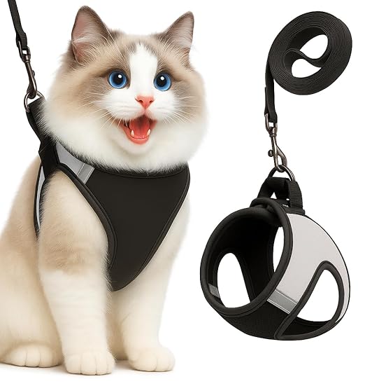 Escape - Proof Cat Harness & Leash – Breathable Mesh, No Pull Harness - BURAQ PETS