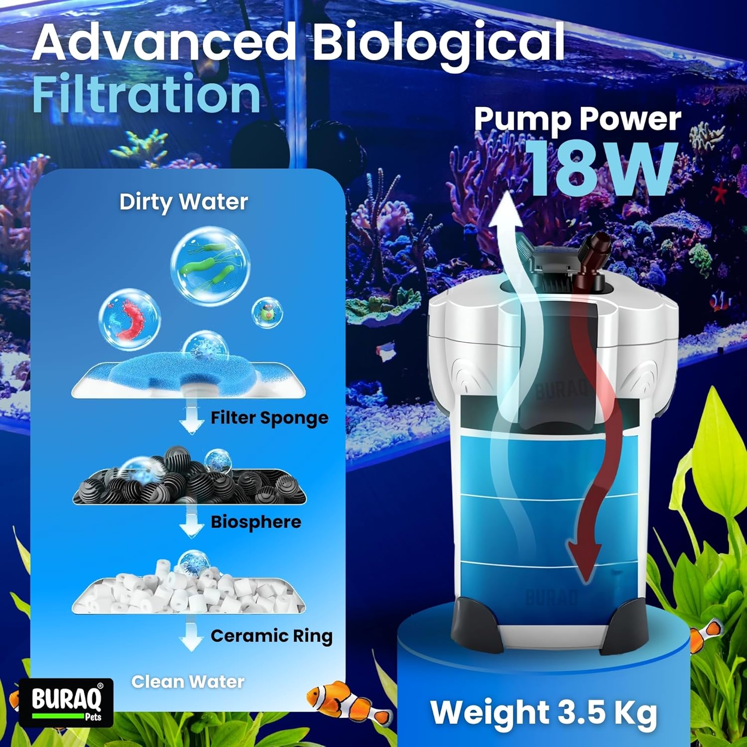 External Canister Aquarium Filter – Quiet & Powerful for 2.5–4 FT Tanks - BURAQ PETS