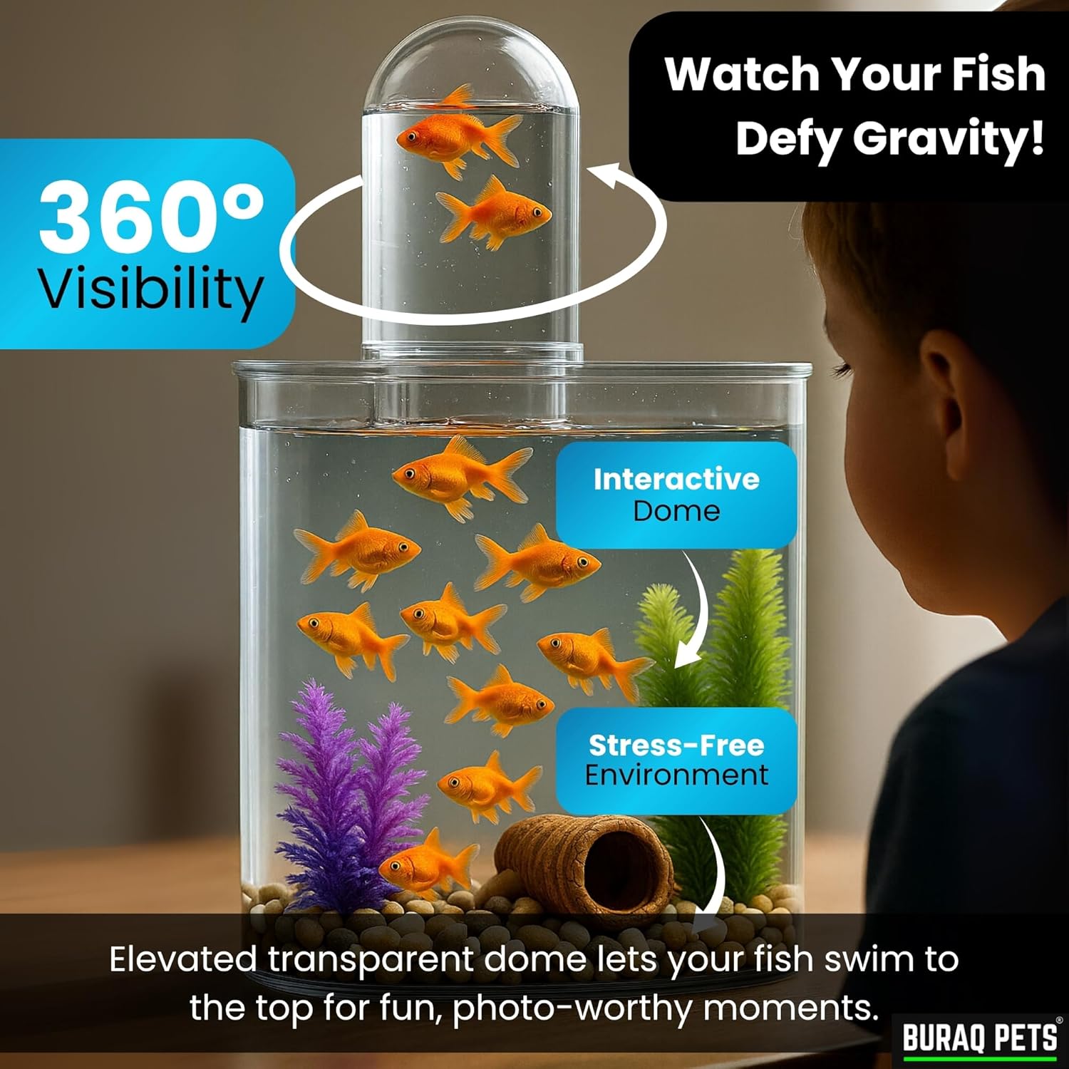 Floating Acrylic Fish Tank – WRGB LED & Hang - On Filter for Desks - BURAQ PETS
