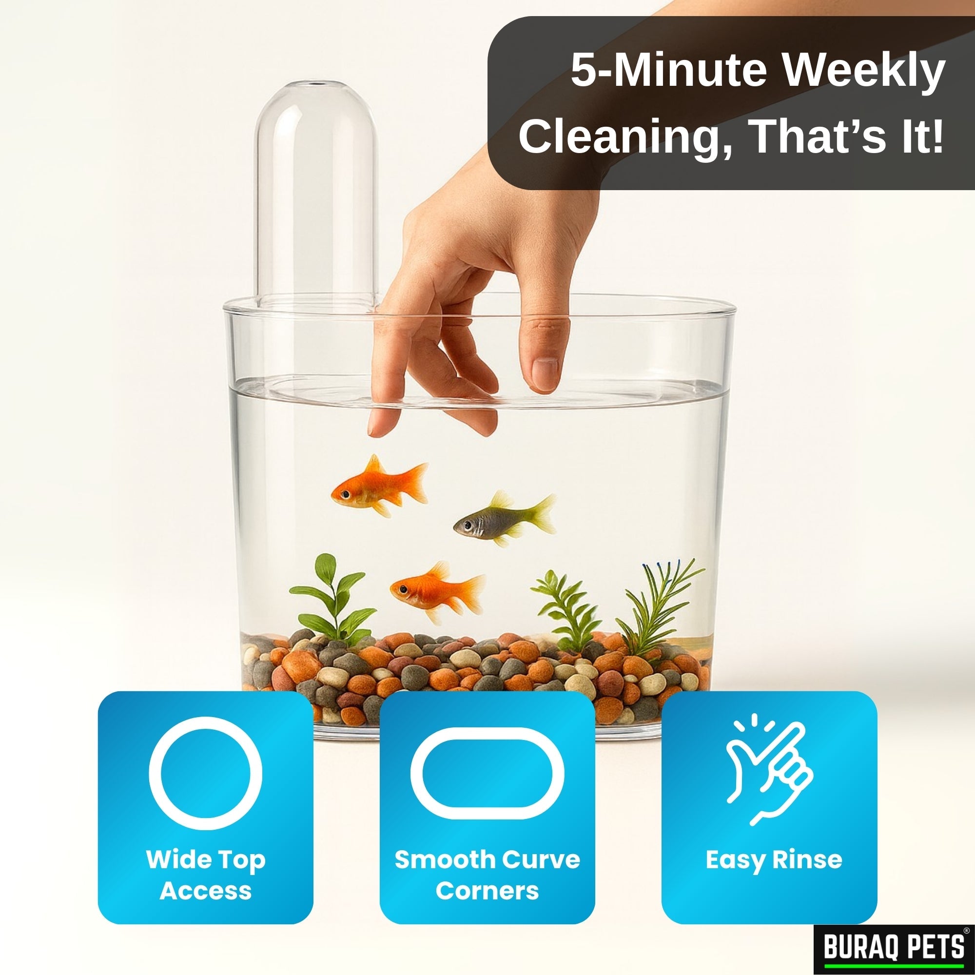 Floating Acrylic Fish Tank – WRGB LED & Hang - On Filter for Desks - BURAQ PETS