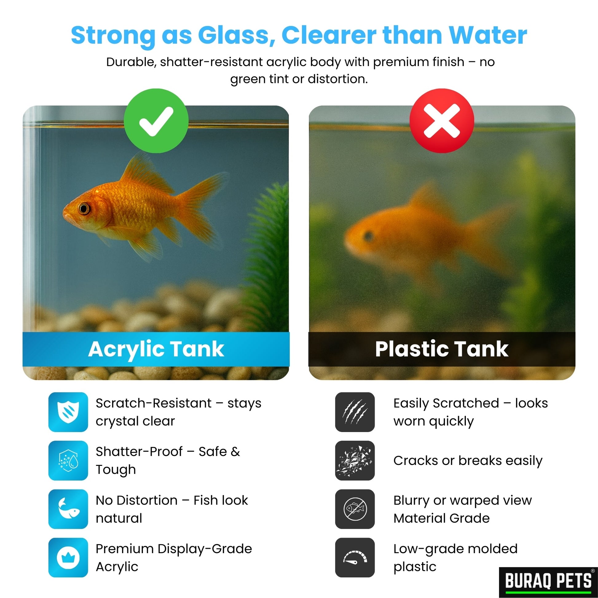 Floating Acrylic Fish Tank – WRGB LED & Hang - On Filter for Desks - BURAQ PETS