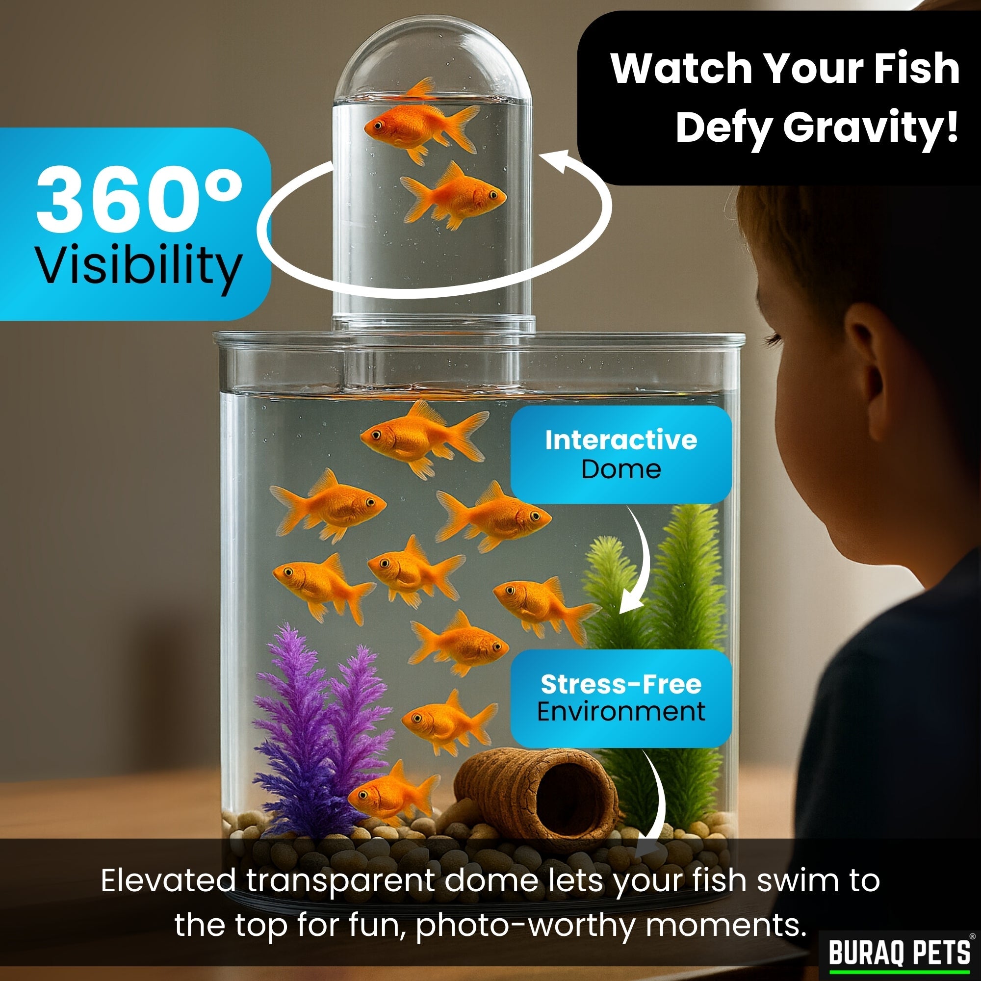 Floating Acrylic Fish Tank – WRGB LED & Hang - On Filter for Desks - BURAQ PETS