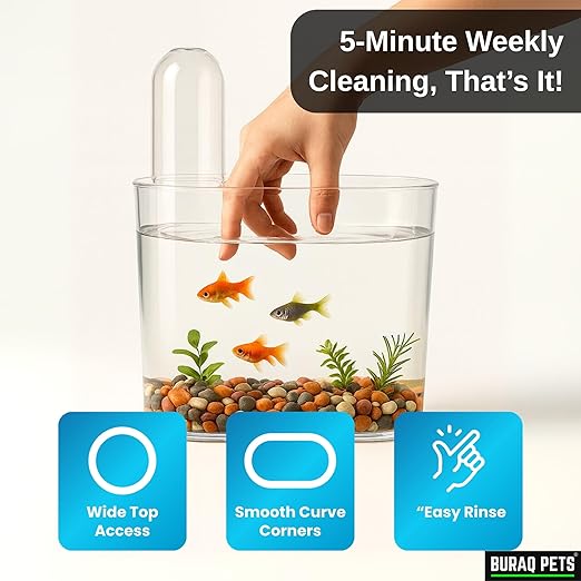 Floating Acrylic Fish Tank – WRGB LED & Hang - On Filter for Desks - BURAQ PETS