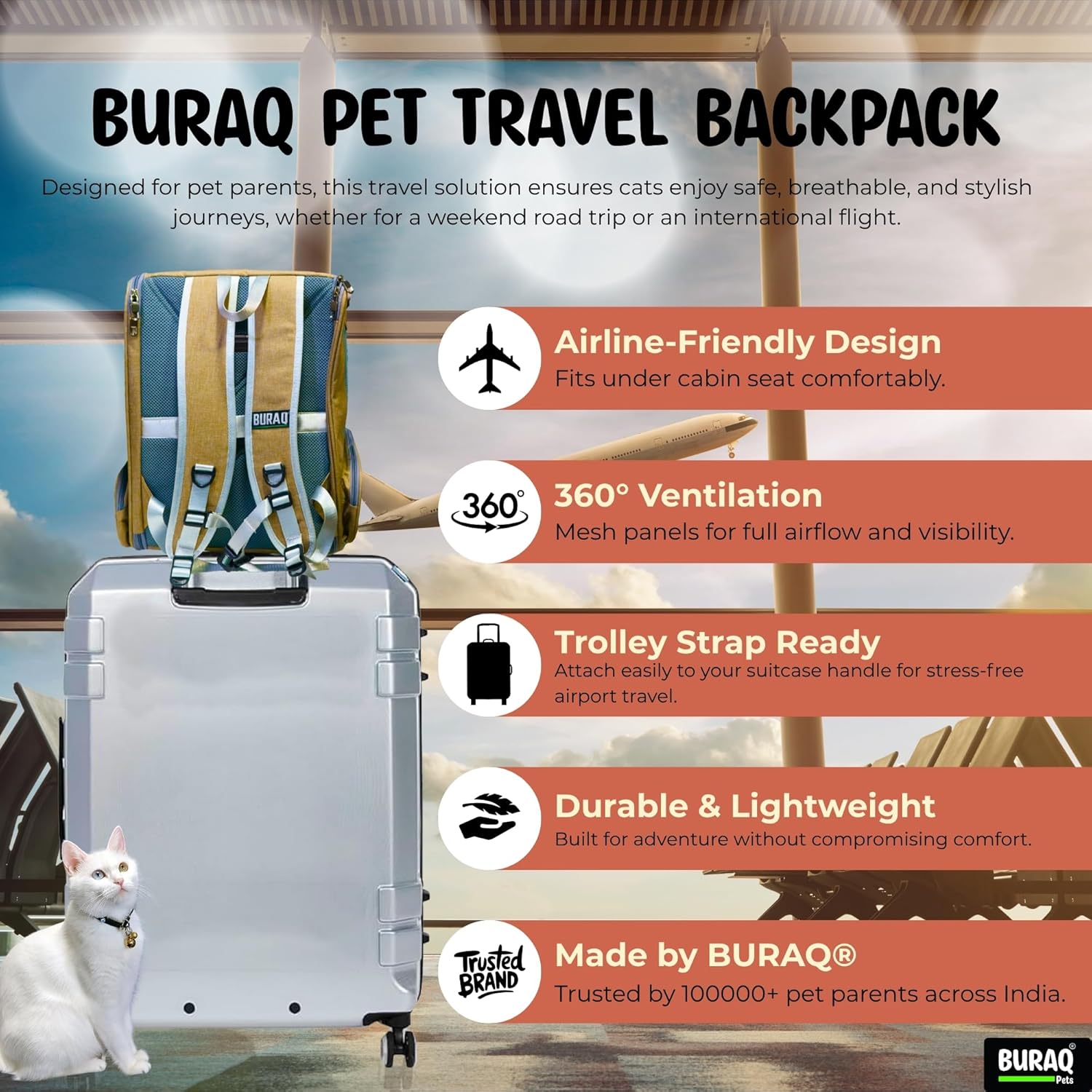 Foldable Ventilated Cat Backpack for Travel - BURAQ PETS