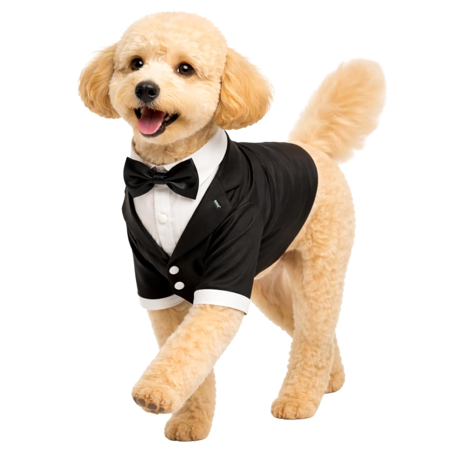 Formal Dog Wedding & Party Tuxedo Suit - BURAQ PETS