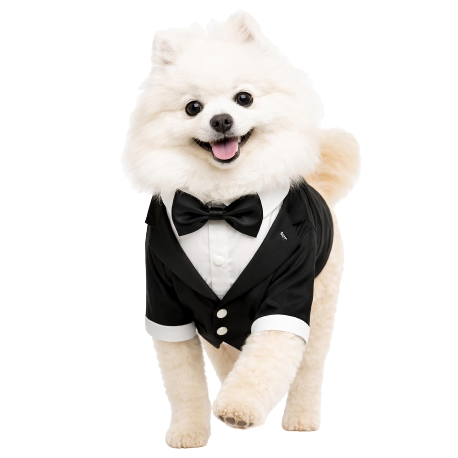 Formal Dog Wedding & Party Tuxedo Suit - premium pet product by Buraq Pets