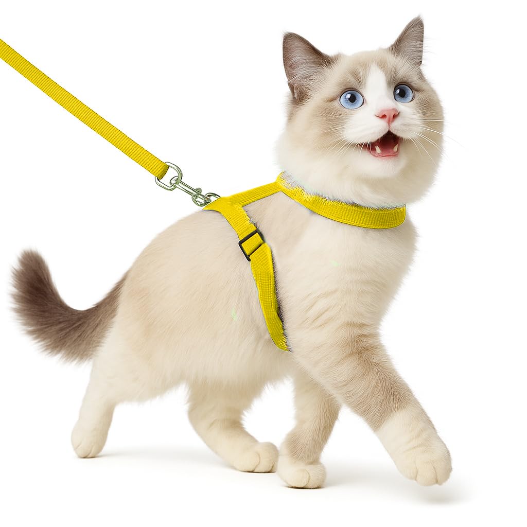Full Body Cat Harness & Leash – Adjustable & Escape - Proof - BURAQ PETS