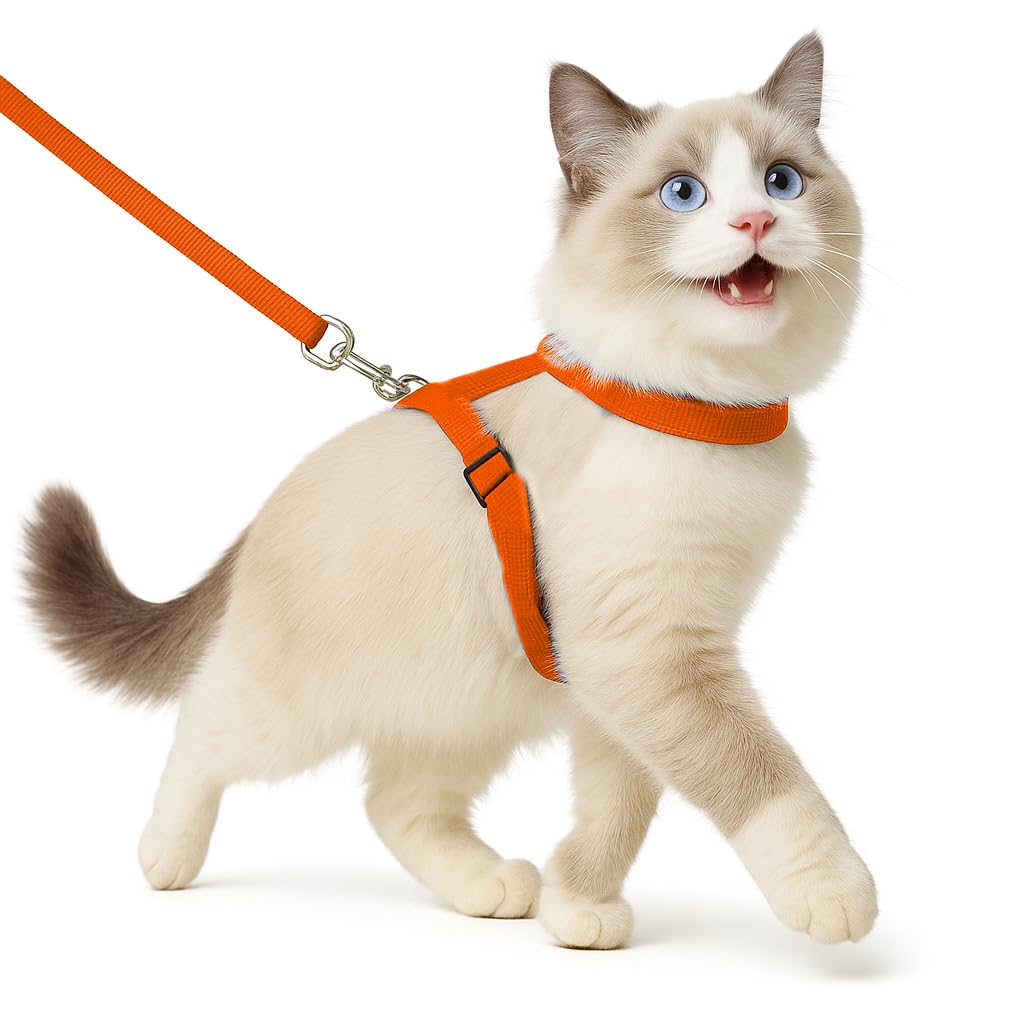 Full Body Cat Harness & Leash – Adjustable & Escape - Proof - BURAQ PETS