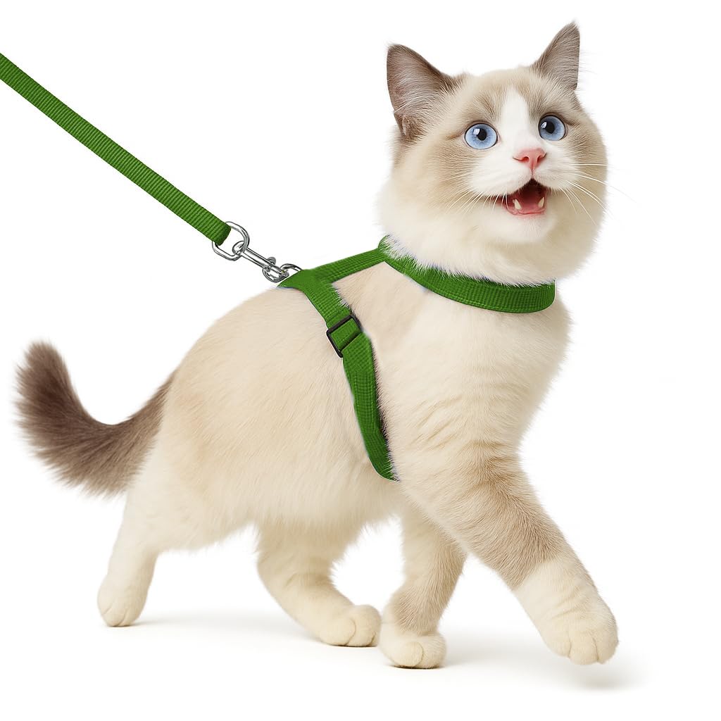 Full Body Cat Harness & Leash – Adjustable & Escape - Proof - BURAQ PETS