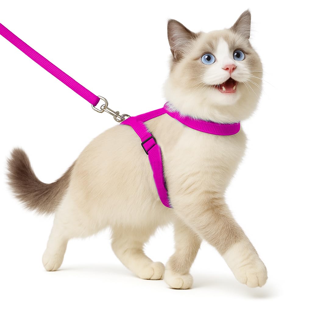 Full Body Cat Harness & Leash – Adjustable & Escape - Proof - BURAQ PETS