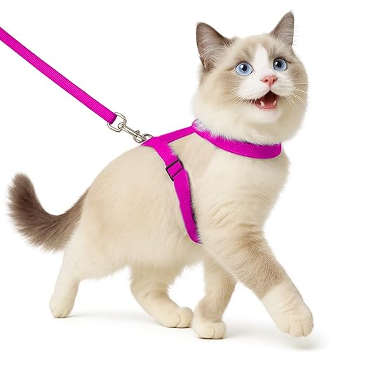 Full Body Cat Harness with Leash – Adjustable, Escape - Proof Outdoor Belt for Walking - BURAQ PETS