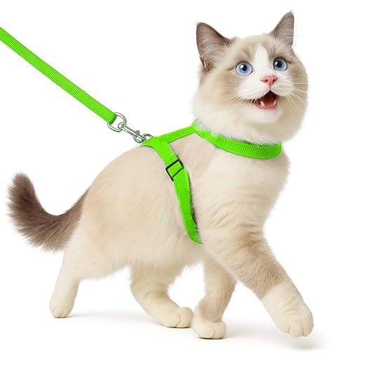 Full Body Cat Harness with Leash – Adjustable, Escape - Proof Outdoor Belt for Walking - BURAQ PETS