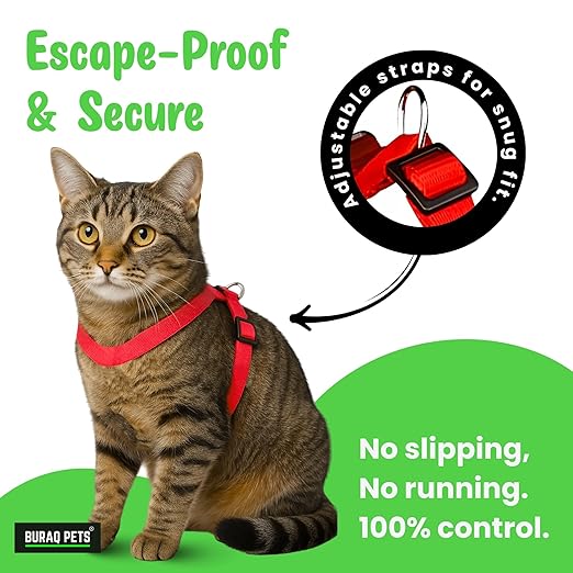 Full Body Cat Harness with Leash – Adjustable, Escape - Proof Outdoor Belt for Walking - BURAQ PETS