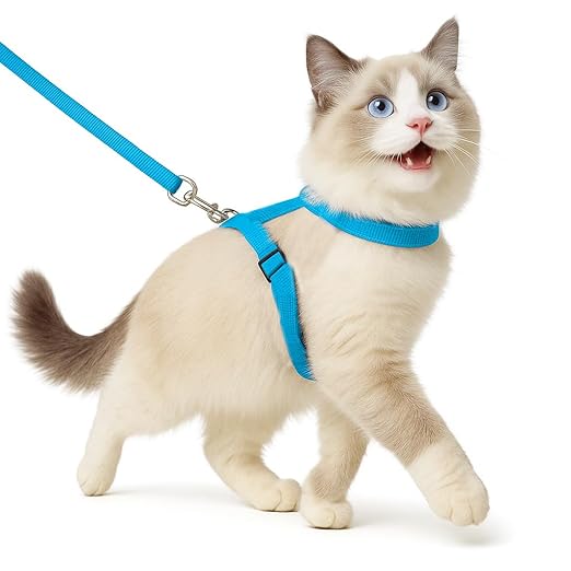 Full Body Cat Harness with Leash – Adjustable, Escape - Proof Outdoor Belt for Walking - BURAQ PETS