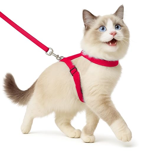 Full Body Cat Harness with Leash – Adjustable, Escape - Proof Outdoor Belt for Walking - BURAQ PETS
