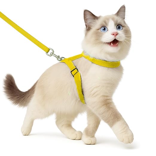 Full Body Cat Harness with Leash – Adjustable, Escape - Proof Outdoor Belt for Walking - BURAQ PETS