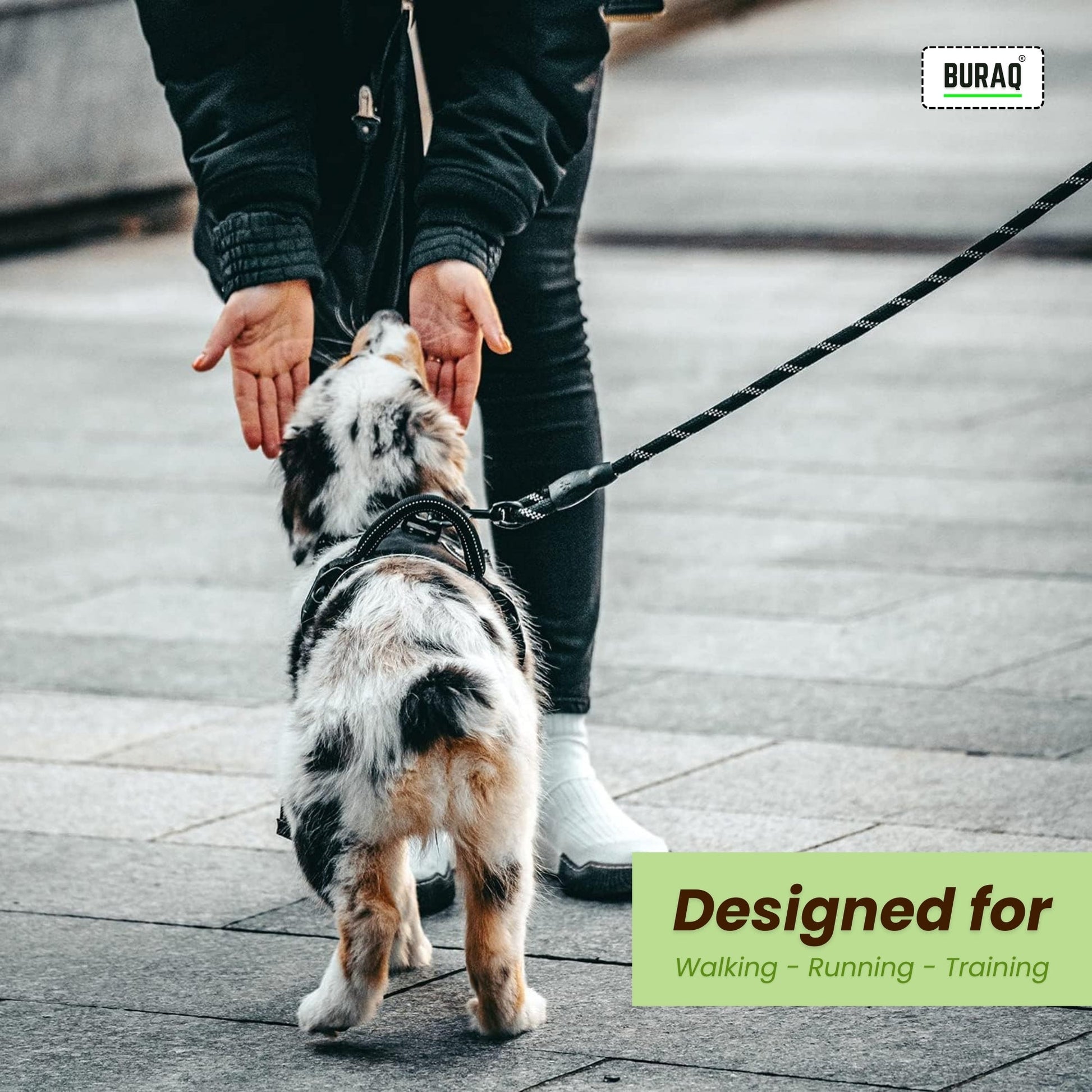 Heavy Duty Dog Leash – Reflective Rope with Padded Grip - BURAQ PETS
