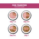 Me - O Adult Dry Cat Food ( Salmon - Gourmet - Chicken & Veg - 7 Kg ) - BURAQ PETS