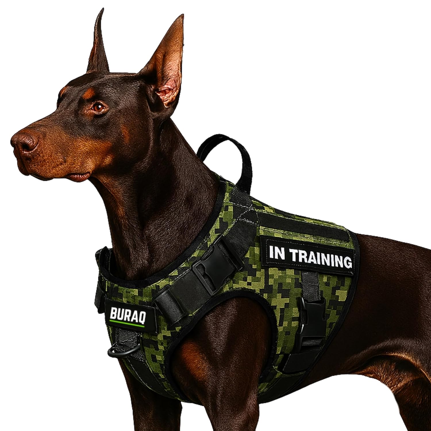 Military Tactical Dog Harness – Heavy - Duty Adjustable Vest for Training, Hiking & Patrol - BURAQ PETS