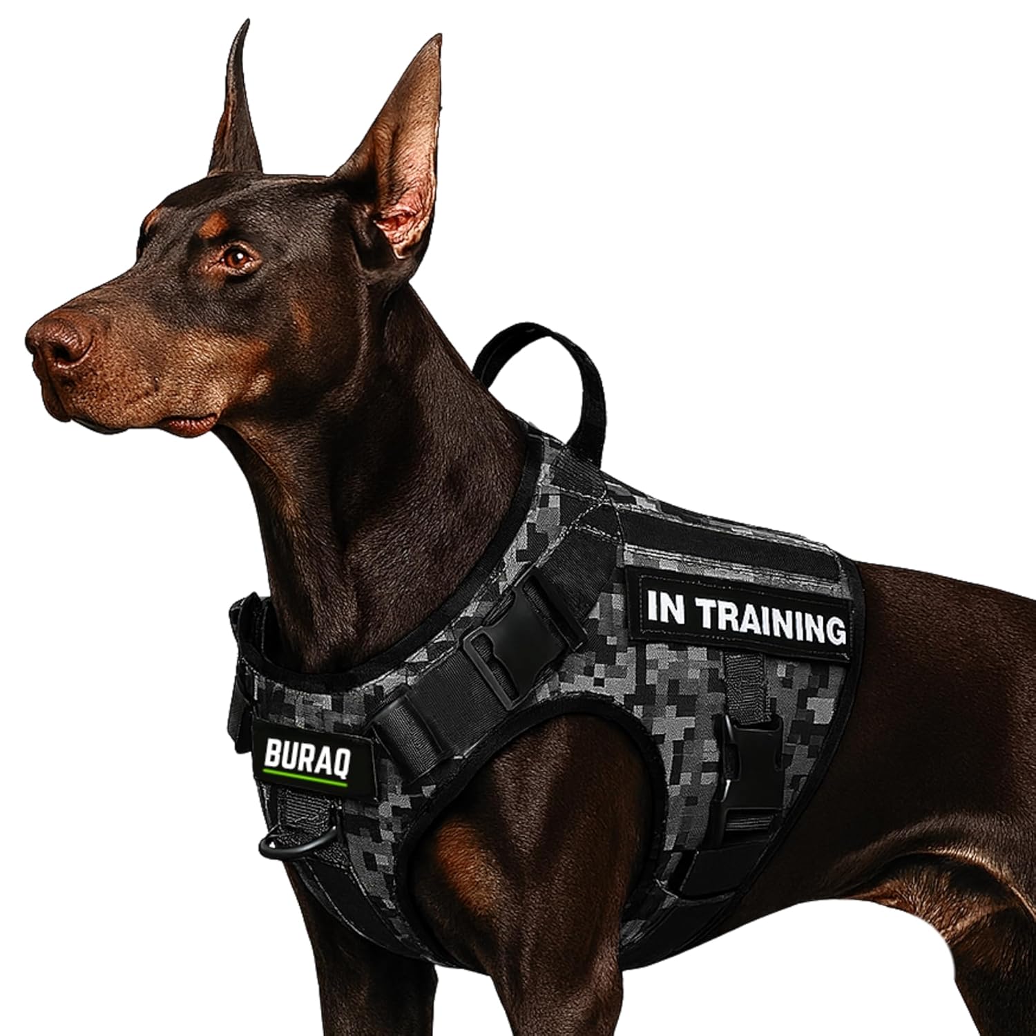 Military Tactical Dog Harness – Heavy - Duty Adjustable Vest for Training, Hiking & Patrol - BURAQ PETS