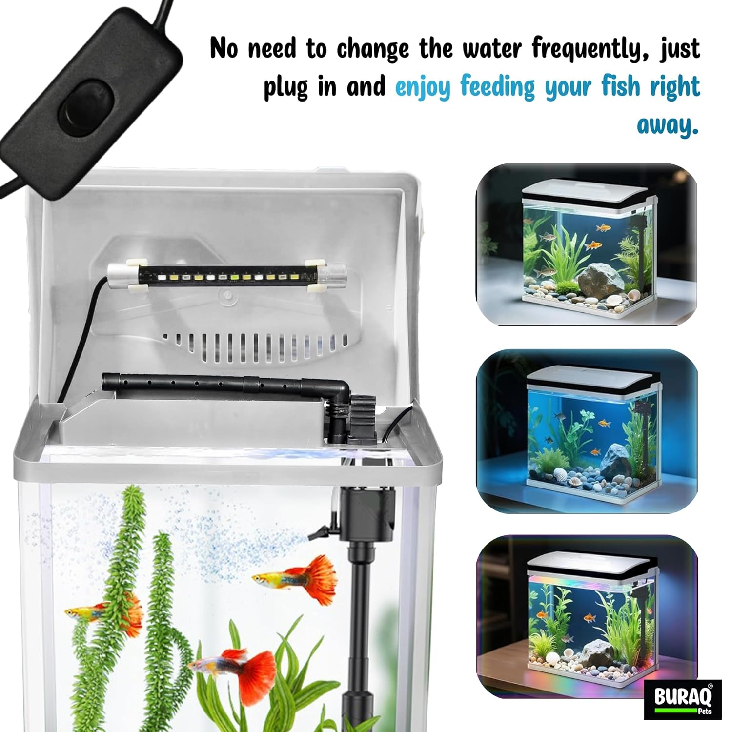 Mini 12L Aquarium Fish Tank – Moulded Design with Filter, LED Light & Lid - BURAQ PETS