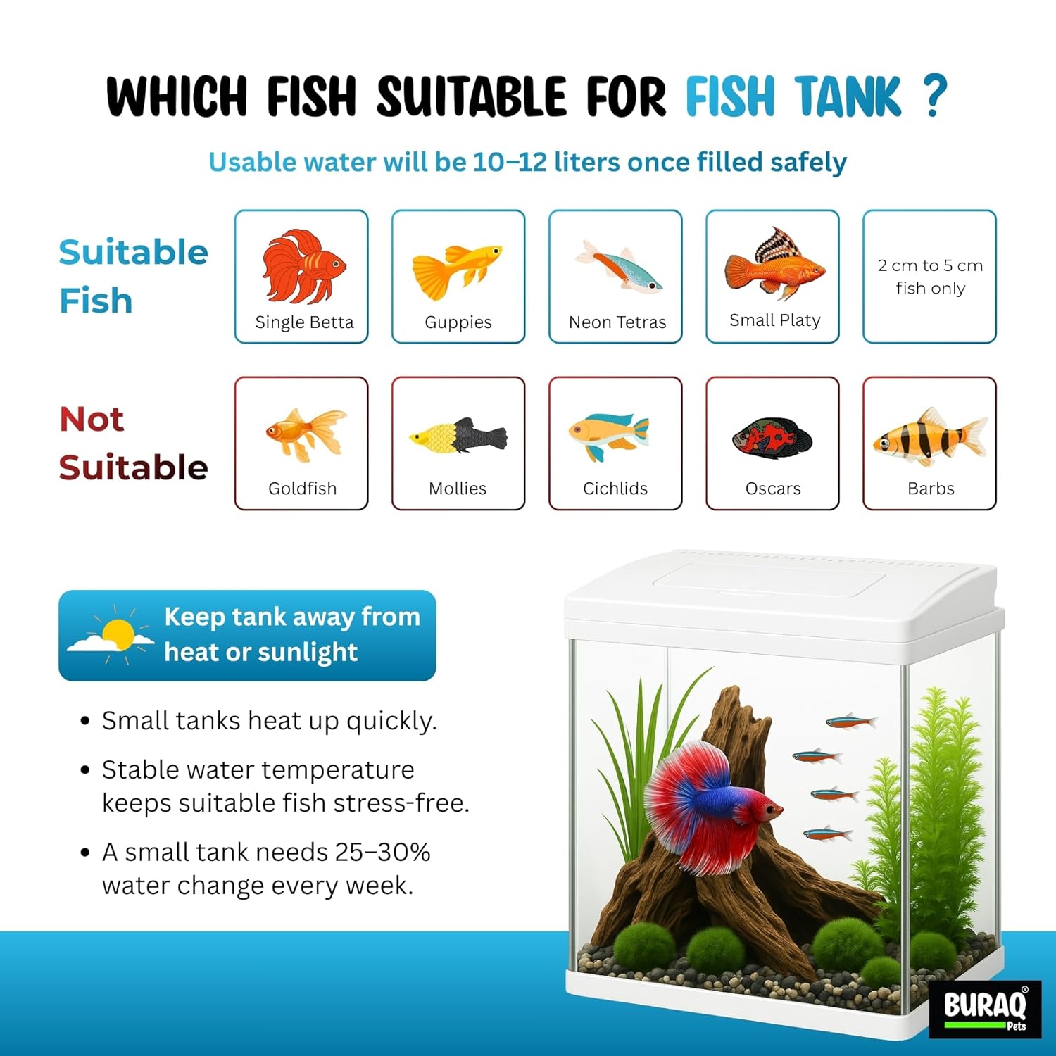 Mini 12L Aquarium Fish Tank – Moulded Design with Filter, LED Light & Lid - BURAQ PETS