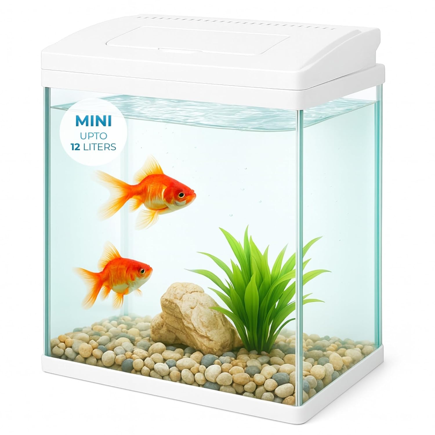 Mini 12L Aquarium Fish Tank – Moulded Design with Filter, LED Light & Lid - BURAQ PETS