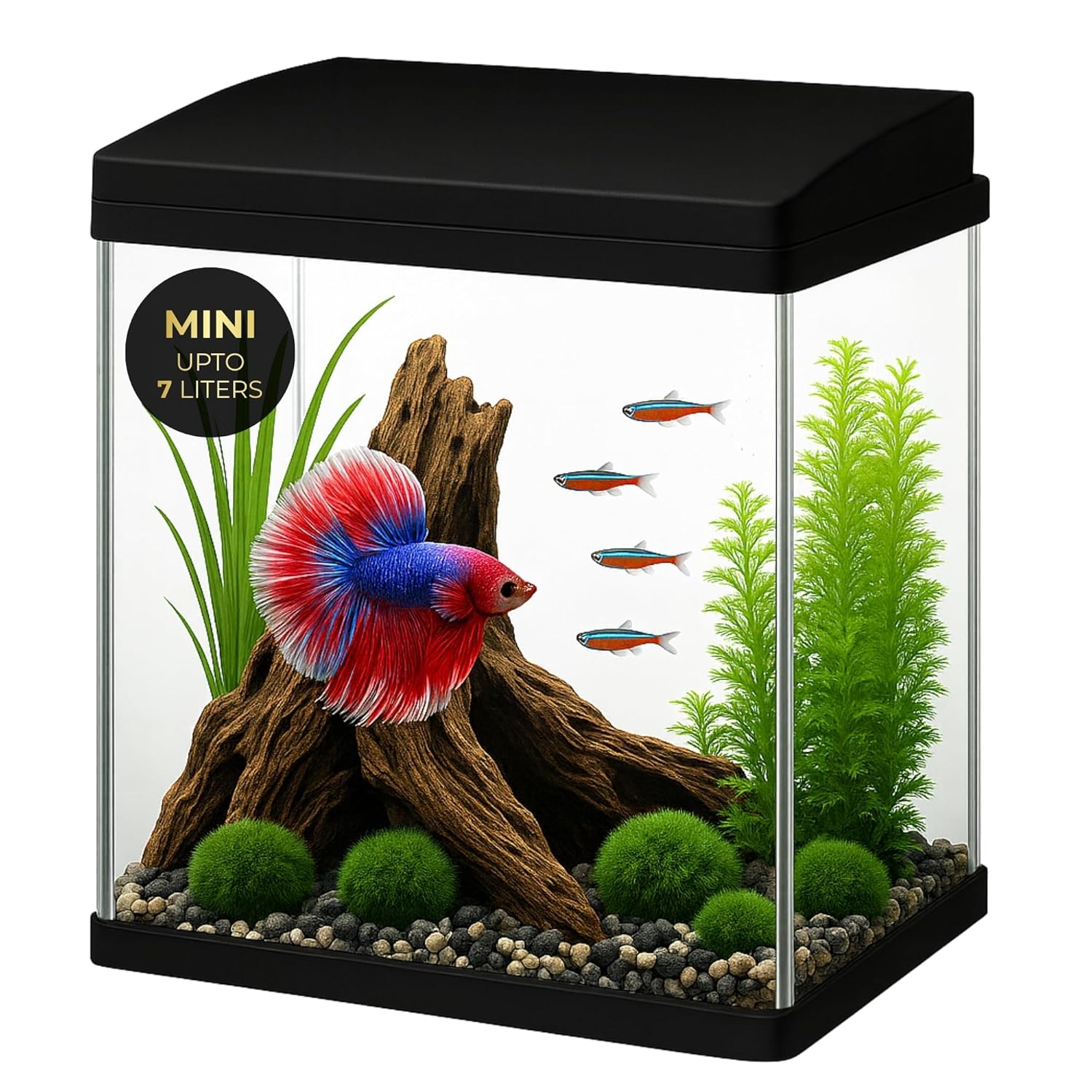 Mini 7L Aquarium Fish Tank – Moulded Design with Filter, LED Light & Lid - BURAQ PETS